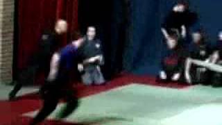 Ninjutsu seminar u Zrenjaninu