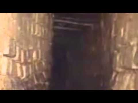 Paranormal Creatures Compilation Youtube