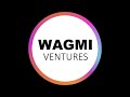 Investing at the Edge of Crypto Innovation, with Ani Pai (Dragonfly) - WAGMI Ventures Podcast