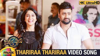 Balakrishnudu Movie Songs | Thariraa Thariraa Full Video Song 4K | Nara Rohit | Regina Cassandra