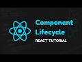 How Component Lifecycle Works in React!