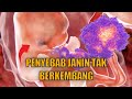 Waspada Bunda, Ini 3 Penyebab Janin Tak Berkembang