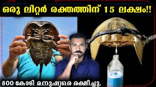 700 കോടി ജനങ്ങളെ രക്ഷിക്കുന്ന നീലരക്തം | JR Studio