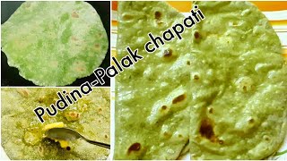 ಎಣ್ಣೆ ಬಳಸದೆ ಮಾಡಿದ ಪುದಿನಾ-ಪಾಲಕ್ ಚಪಾತಿ, Mint-Spinach chapati ,  Pudina-Palak chapati