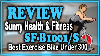 Sunny Health & Fitness Stationary Indoor Bike SF B1001S Review   Best Exercise Bike Under 300