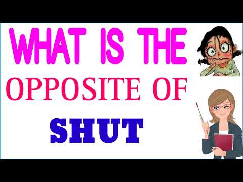 What is the opposite of shut?