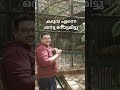 കടുവ എന്നെ നോട്ടമിട്ടു foreststory 2023 malayalam trivandram 100museum flowers malayalam 1k