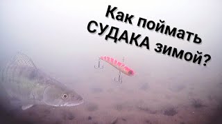 Зимняя ловля СУДАКА. Подводная съемка