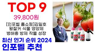 인포벨 추천 TOP10 최신 인기 할인 제품이에요