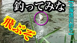 【北海道川釣り】ダイソー100均ジグヘッドでニジマスを狙う！トラウトfishingで今日は爆釣か！？