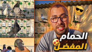 علاش جيبت حمام الخينيسي؟ + وهذا هو النوع المفضل عندي! 😍