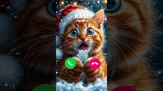 KASI CAT CALLING😘 #ringtone #youtubeshorts #catlover #cat #funny #shorts #funnycats #shortvideo