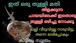 പല്ലികൾ, പാറ്റകൾ കൂട്ടത്തോടെ ചത്തുവീഴാൻ , ഒരു സ്പൂൺ തേയില മതി /lizard repellent