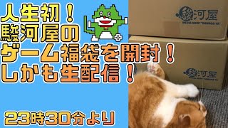 人生初！駿河屋ゲーム福袋を生開封！