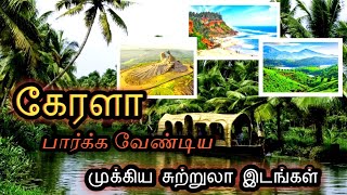 😁Kerala Nights tourist places🥰/ கேரளா பார்க்க வேண்டிய சுற்றுலா தலங்கள் (தமிழ்) #travel research