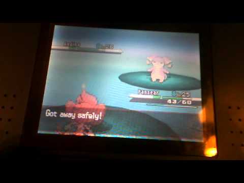 How and Where to get Emolga via Pokemon Black/White How and Where to get Emolga via Pokemon Black/White