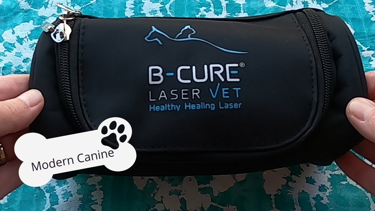 Laser Treatment For Home Use By B Cure Laser Vet - YouTube