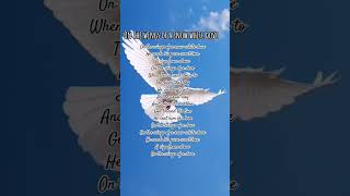 Snow White Dove #shorts#christiansong#christianshorts#worshipsong#whitedoves#peacefulmind#harmony