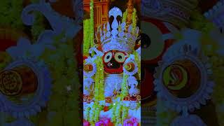 Odia New Jagannath !! Bhajan କଳା ମାଧବ🙏🏻 !! Status Video 🥀4k FullScreen !!#shorts#jagannath