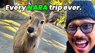 The Japan trip everyone does (Nara Edition)