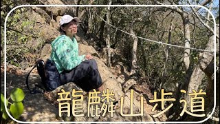 ［台南vlog］龍麟山步道/土石路、木階梯、巨岩拉繩一應俱全！