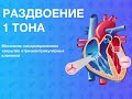 Тоны сердца и их изменения при патология