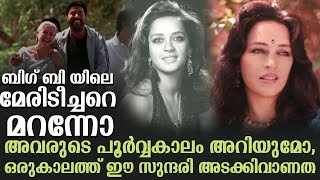 ബിഗ് ബി യിലെ മേരിടീച്ചറെ മറന്നോ അവരുടെ പൂർവ്വകാലം അറിയുമോ, ഒരുകാലത്ത് ഈ സുന്ദരി അടക്കിവാണത്