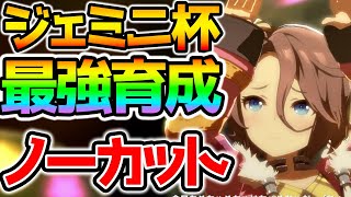 【ウマ娘 切り抜き】ジェミニ杯最強育成 生放送で最強タイシンを誕生させてしまうNottinTV ほぼノーカット全て見せます！情報公開！育成法全編【NottinTV ナリタタイシン ゴルシ 育成理論】