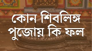 কোন শিবলিঙ্গ পুজোয় কি ফল | Sibsankar Bharati | Mahadev | Shivling