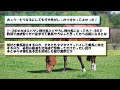 【競馬】【悲報】ドーブネさん、童貞卒業出来ずに対するみんなの反応集【2ch】【5ch】