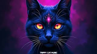 Minimal Techno & Dark Minimal Techno Mix 2026 by Trippy cat