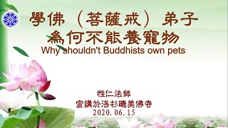 學佛（菩薩戒）弟子為何不能養寵物 Why shouldn't Buddhists own pets（中英文字幕 English subtitle） --美佛寺性仁法師Venerable Xingren