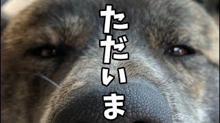 お迎えにきたよ