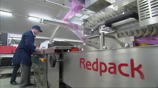 Redpack Apple Packing Machine P325 EFI