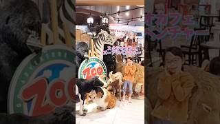 スタジオカフェ ズーアドベンチャー ルクア1100店(Studio Cafe ZooAdventure)