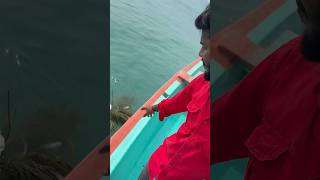 கணவாய் முட்டை விடும் மரம்  # #meenachil #comedy #fishingmylife #funny