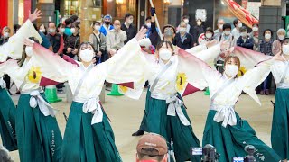 [4K] 熊本県立大学 一大事 【大ハンヤ審査】　かごしま春祭大ハンヤ 2022 2日目　ベルク広場 (中央)