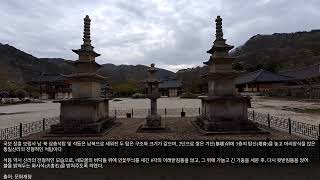 구산선문 종찰, 장흥 가지산 보림사