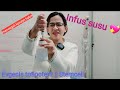 Infus Susu || Stemcell