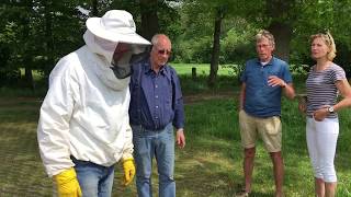 Zwerm bijen vangen, dorpsboomgaard Heino - 12.05.2018