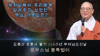 광륜사 불기 2568년 부처님오신날 봉축법요식 [광우스님 봉축법어] \