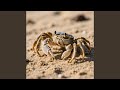 Face the Dark