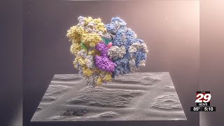 UVA researchers name new cell discovery after Pokémon’s ‘Snorlax’