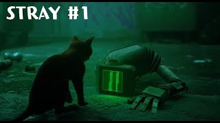 過度な猫好きによる『stray』実況#1