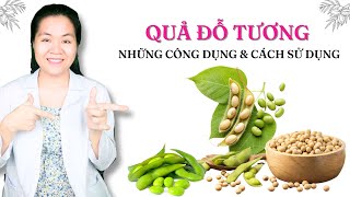 Quả đậu tương có tác dụng gì? Cách sử dụng quả đậu tương tốt nhất