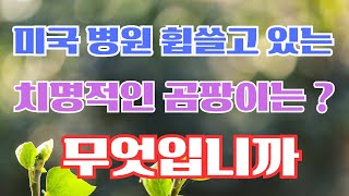 Candida auris: 미국 병원을 휩쓸고 있는 치명적인 곰팡이는 무엇입니까? 호흡기, 중추신경계, 내부 장기, 피부에도 영향을 미칠 수 있다