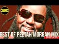 Best Hit Songs | Peetah Morgan Mix 2024 | Selector Doj | Reggae Vibes | Riddim