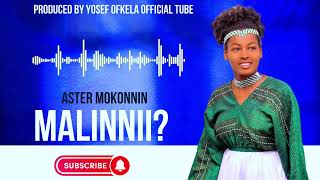 ASTER MOKONIN : MAALIINII?