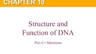Chapter 10 Part 6 Mutations