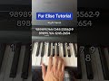 Fur Elise Tutorial *Both Hands* - Easy Piano Tutorial